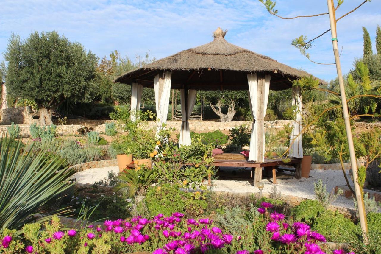 Room In Villa - Beautiful Accommodation At The Heart Of Andalusia Puente Genil Exterior foto