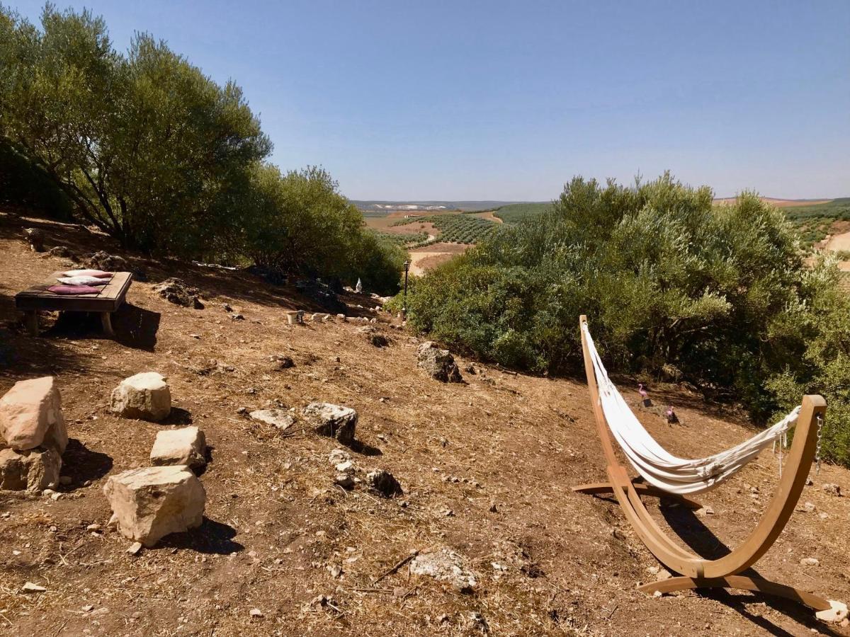 Room In Villa - Beautiful Accommodation At The Heart Of Andalusia Puente Genil Exterior foto